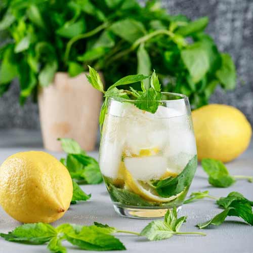 آب لیمو نعناع از نوشیدنی های مناسب بانوان