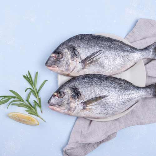 معرفی مهمترین نکات خرید ماهی تازه با راهنمای ما